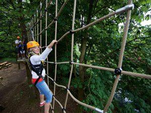 activity1